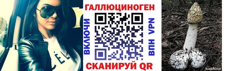 купить   Макушино  Псилоцибиновые грибы Magic Shrooms 